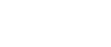 Blue Tortoise Acupuncture Logo